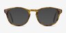 Split Tortoise AcetateEyeglass Frames from EyeBuyDirect, with Tinted Lenses