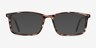 Crane Striped AcetateEyeglass Frames from EyeBuyDirect, with Tinted Lenses