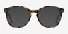 Pride Ivory Tortoise AcetateEyeglass Frames from EyeBuyDirect, with Tinted Lenses