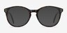 Pride Brown Floral AcetateEyeglass Frames from EyeBuyDirect, with Tinted Lenses