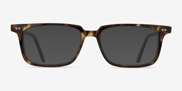 Wing Tortoise AcetateEyeglass Frames from EyeBuyDirect, with Tinted Lenses