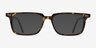 Wing Tortoise AcetateEyeglass Frames from EyeBuyDirect, with Tinted Lenses