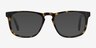 Rhode Island Tortoise AcetateEyeglass Frames from EyeBuyDirect, with Tinted Lenses