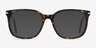 Absolutely Écailles AcétateMontures de lunettes de vue d'EyeBuyDirect, Avec des Verres Teintés