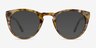 Lynx Savanna Floral AcétateMontures de lunettes de vue d'EyeBuyDirect, Avec des Verres Teintés