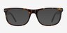 Koi Écailles AcétateMontures de lunettes de vue d'EyeBuyDirect, Avec des Verres Teintés