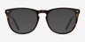 Divina Tortoise AcetateEyeglass Frames from EyeBuyDirect, with Tinted Lenses