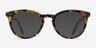 Griffin Amber & Navy AcetateEyeglass Frames from EyeBuyDirect, with Tinted Lenses