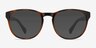 Heartbeat Brown PlasticEyeglass Frames from EyeBuyDirect, with Tinted Lenses