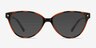 Dame Tortoise PlasticEyeglass Frames from EyeBuyDirect, with Tinted Lenses