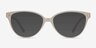 Dame Matte Clear PlasticEyeglass Frames from EyeBuyDirect, with Tinted Lenses