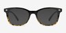 Drama Black Brown PlasticEyeglass Frames from EyeBuyDirect, with Tinted Lenses