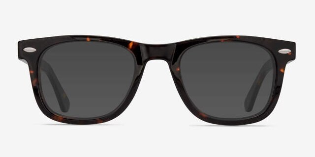 Blizzard Dark Tortoise AcetateEyeglass Frames from EyeBuyDirect, with Tinted Lenses