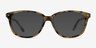 Escape Matte Tortoise AcétateMontures de lunettes de vue d'EyeBuyDirect, Avec des Verres Teintés
