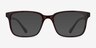 November Brown PlasticEyeglass Frames from EyeBuyDirect, with Tinted Lenses
