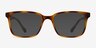November Tortoise PlasticEyeglass Frames from EyeBuyDirect, with Tinted Lenses