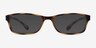 Versus Matte Tortoise PlasticEyeglass Frames from EyeBuyDirect, with Tinted Lenses
