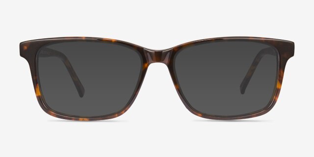 Prologue Tortoise AcetateEyeglass Frames from EyeBuyDirect, with Tinted Lenses