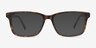Prologue Tortoise AcetateEyeglass Frames from EyeBuyDirect, with Tinted Lenses