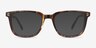 Kent Brown Striped AcetateEyeglass Frames from EyeBuyDirect, with Tinted Lenses