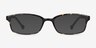 Gizmo Tortoise PlasticEyeglass Frames from EyeBuyDirect, with Tinted Lenses