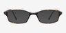 Glitch Tortoise PlasticEyeglass Frames from EyeBuyDirect, with Tinted Lenses