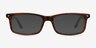 Mandi Brown Striped AcetateEyeglass Frames from EyeBuyDirect, with Tinted Lenses