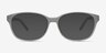 Lyle Gray AcetateEyeglass Frames from EyeBuyDirect, with Tinted Lenses