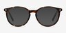 Blink Tortoise AcetateEyeglass Frames from EyeBuyDirect, with Tinted Lenses