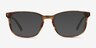 Emblem Brown AcetateEyeglass Frames from EyeBuyDirect, with Tinted Lenses