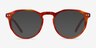 Planete Brown Tortoise AcetateEyeglass Frames from EyeBuyDirect, with Tinted Lenses