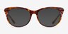 Mariposa Tortoise AcetateEyeglass Frames from EyeBuyDirect, with Tinted Lenses