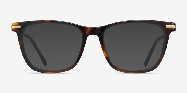 Sebastian Tortoise Acetate-metalEyeglass Frames from EyeBuyDirect, with Tinted Lenses