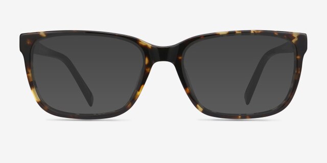 Demo Tortoise AcetateEyeglass Frames from EyeBuyDirect, with Tinted Lenses