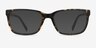 Demo Tortoise AcetateEyeglass Frames from EyeBuyDirect, with Tinted Lenses