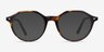 Moby Tortoise AcetateEyeglass Frames from EyeBuyDirect, with Tinted Lenses