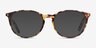 Messenger Tortoise AcetateEyeglass Frames from EyeBuyDirect, with Tinted Lenses