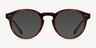 Theory Cognac AcetateEyeglass Frames from EyeBuyDirect, with Tinted Lenses