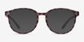 Shifter Pink Tortoise PlasticEyeglass Frames from EyeBuyDirect, with Tinted Lenses