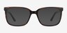 Formula Brown Striped AcetateEyeglass Frames from EyeBuyDirect, with Tinted Lenses