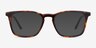 Phoenix Tortoise AcetateEyeglass Frames from EyeBuyDirect, with Tinted Lenses