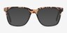 Jamie Tortoise AcetateEyeglass Frames from EyeBuyDirect, with Tinted Lenses