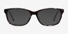 Ayla Écailles AcétateMontures de lunettes de vue d'EyeBuyDirect, Avec des Verres Teintés