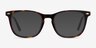 Honor Tortoise AcetateEyeglass Frames from EyeBuyDirect, with Tinted Lenses