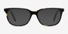 Peruse Tortoise AcetateEyeglass Frames from EyeBuyDirect, with Tinted Lenses