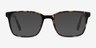 Charlie Tortoise AcetateEyeglass Frames from EyeBuyDirect, with Tinted Lenses