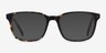 Longway Tortoise AcetateEyeglass Frames from EyeBuyDirect, with Tinted Lenses
