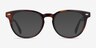 Maeby Dark Tortoise AcetateEyeglass Frames from EyeBuyDirect, with Tinted Lenses