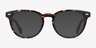 Maeby Tortoise AcetateEyeglass Frames from EyeBuyDirect, with Tinted Lenses