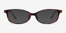 Mabel Pink Tortoise AcetateEyeglass Frames from EyeBuyDirect, with Tinted Lenses